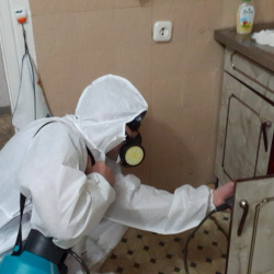 Дезинфекция от муравьев в квартире Верхние Лихоборы метро Москвы