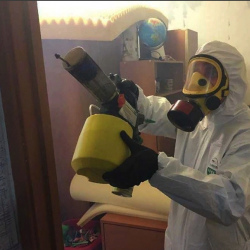 Уничтожение клопов в квартире. Верхние Лихоборы